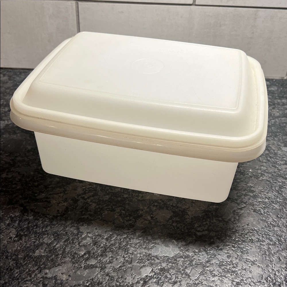 Vintage Tupperware ice cream or frozen dessert container. Storage container